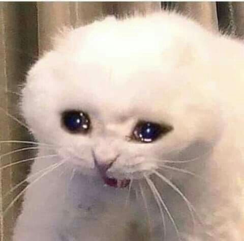 أخبار عدد ٣١ مارس ٢٠٢٦