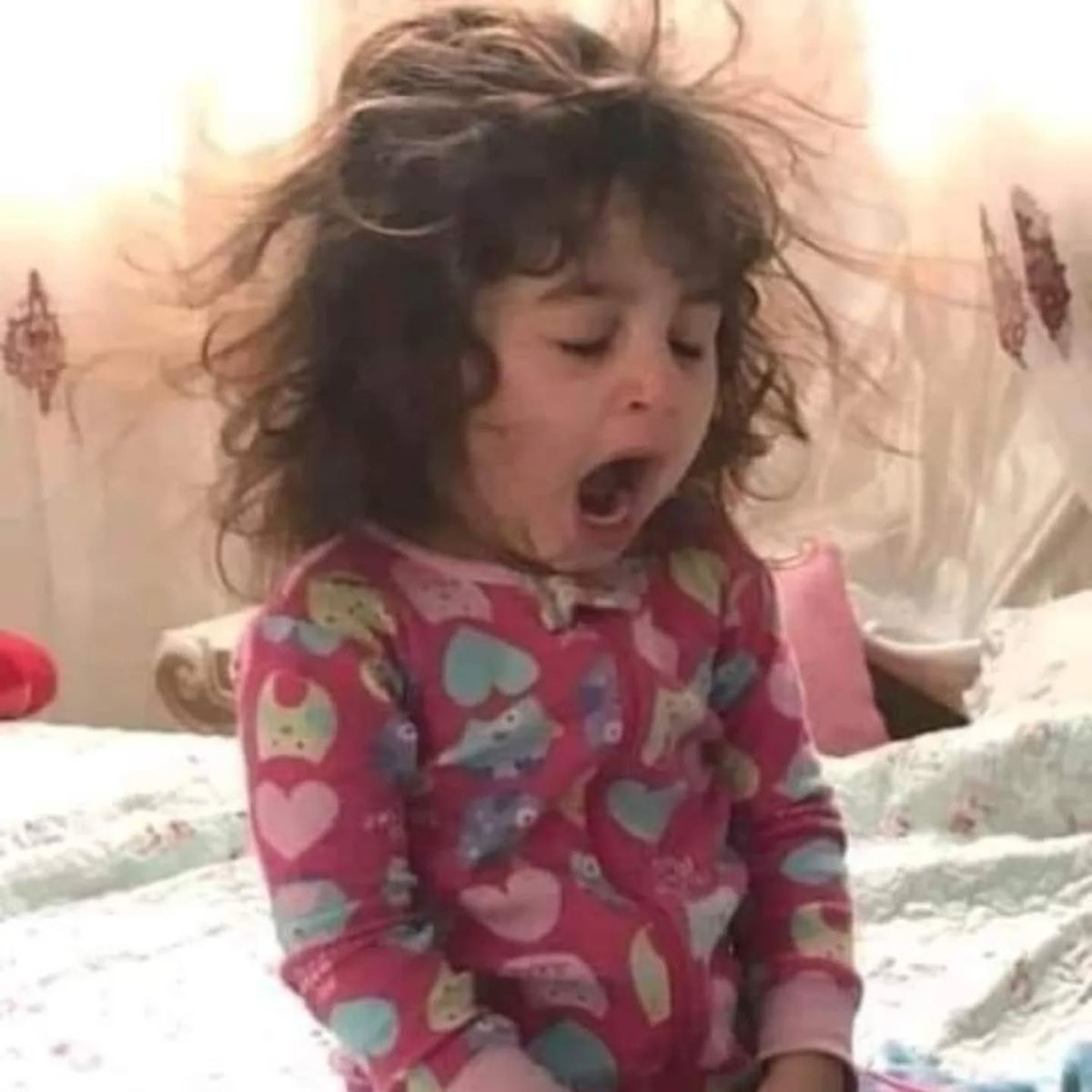 أخبار عدد الثلاثاء ١٢ مايو ٢٠٢٦