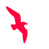 Logo3